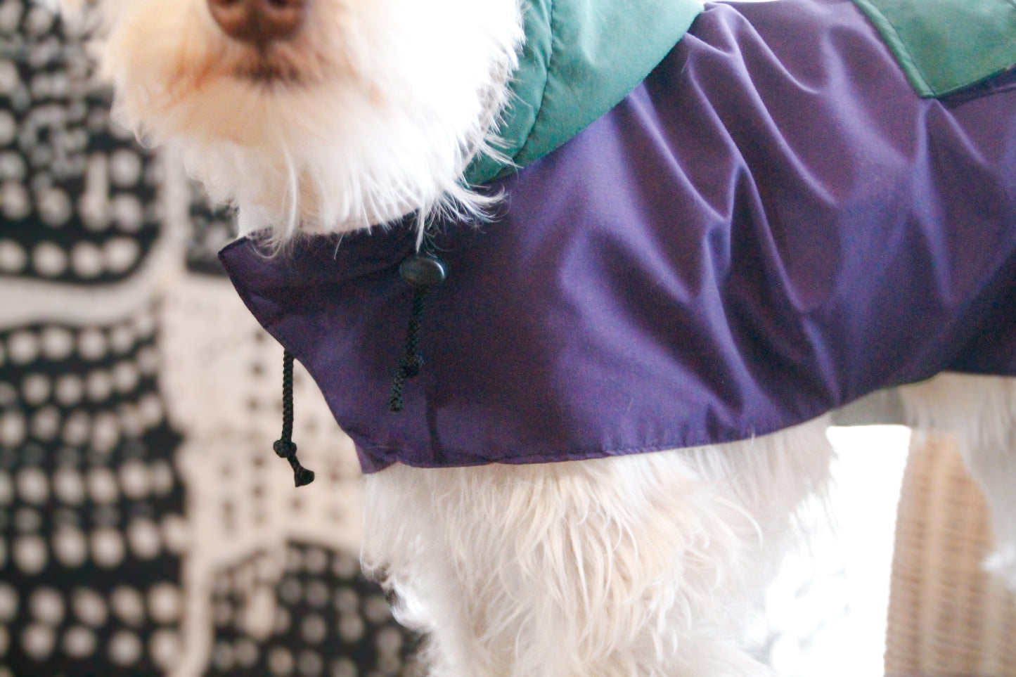PONCHO / RAIN COAT