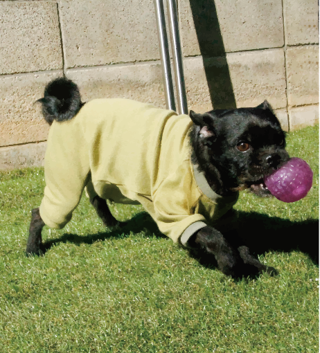 ROMPERS